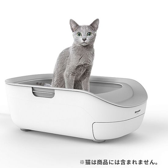 猫のトイレは全自動 特徴や機能 メリット デメリットなど徹底解説 多頭飼いオーナー必見情報付き ペットナウ