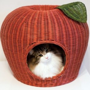 猫ベッドラタン製リンゴドーム型