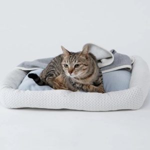 オーガニックコットン製の自然素材の猫ベッド