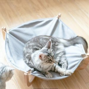 ペットにも人にも地球にもやさしい自然素材の猫ベッドおすすめ10選 | ペットナウ