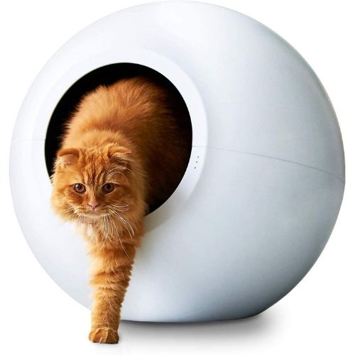 猫のトイレは全自動 特徴や機能 メリット デメリットなど徹底解説 ペットナウ