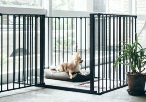 室内犬用ケージおすすめ9選 おしゃれなケージはお部屋に溶け込むインテリア ペットナウ