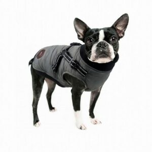 防寒コートはボストンテリア犬の寒さ対策必需品