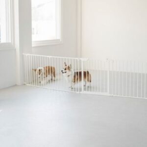 一人暮らしの限られた部屋で使える犬用のフリースタイルケージ