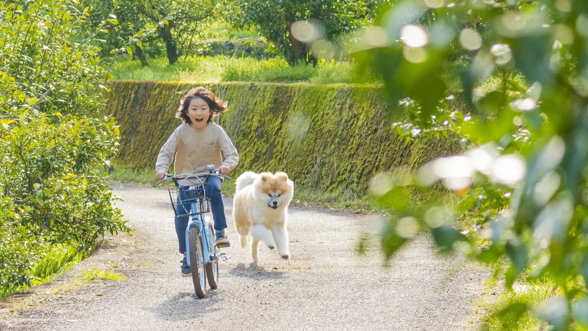 近くの公園まで愛犬と自転車で走る女子